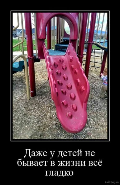 picture_380344792