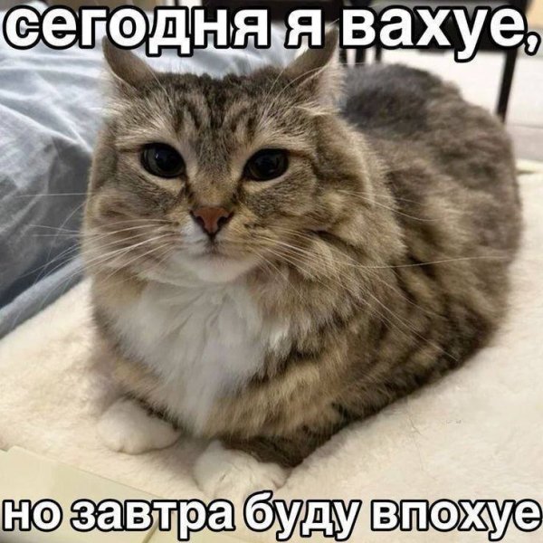 picture_412949391
