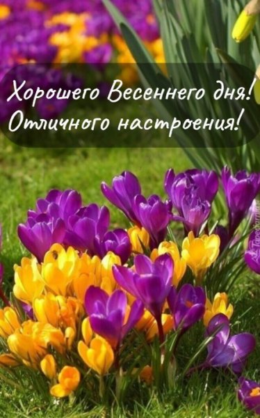 IMG-20210413-WA0003