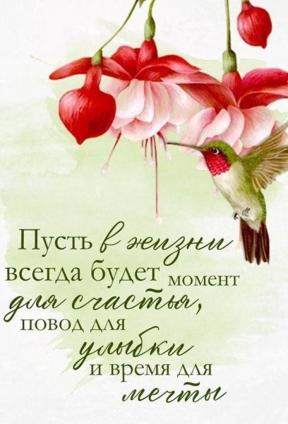 Жизнь