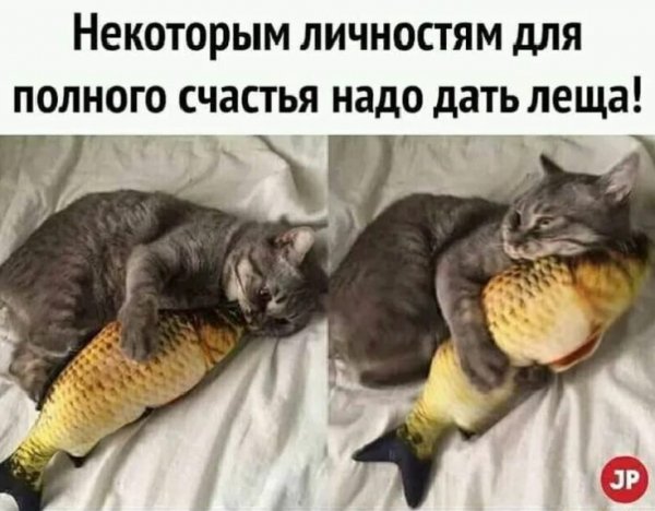 Надо дать леща!