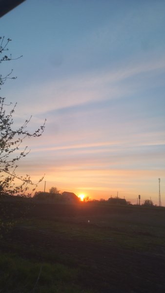 picture_411807035