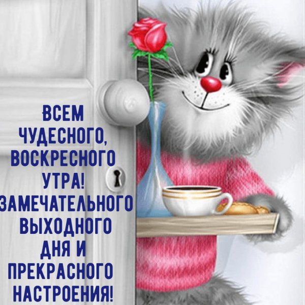 IMG-20180729-WA0000