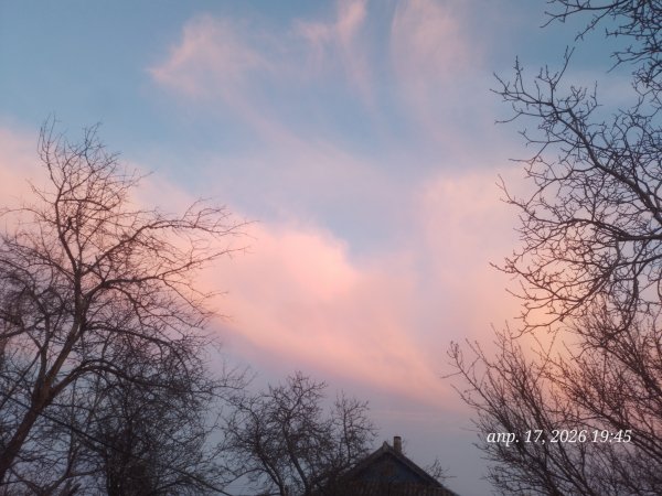 picture_411480346