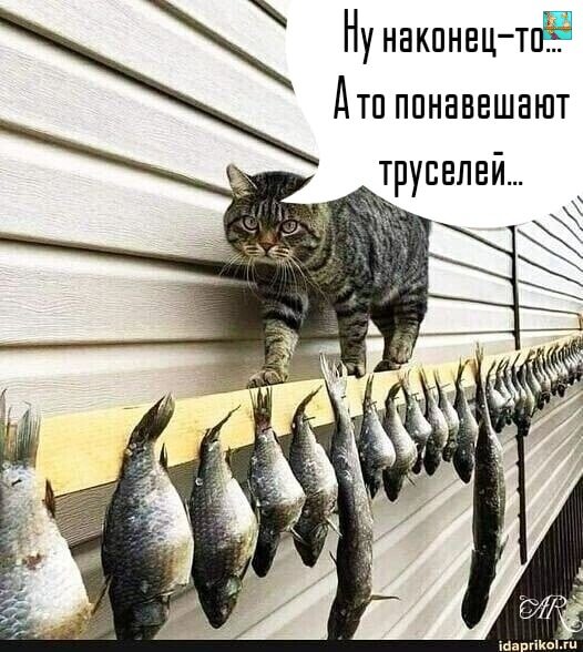 ISv5LiIpMTw