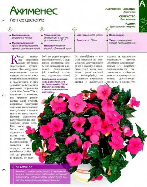 Ахименес