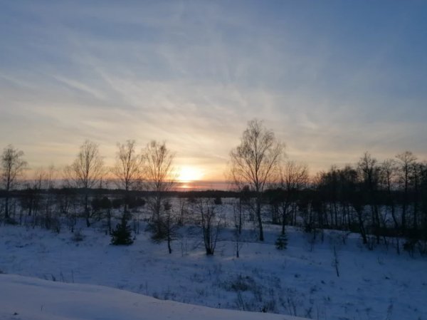 Люблю зиму