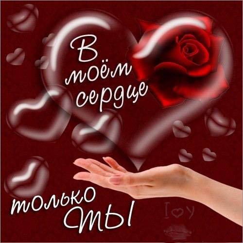 В моем сердце