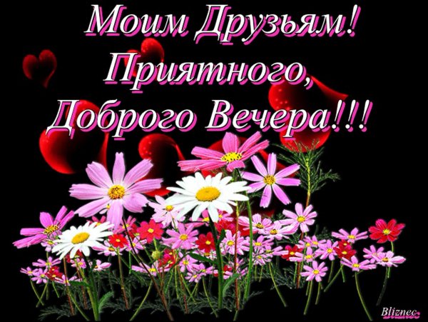 Моим друзьям!