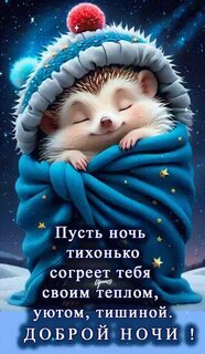 IMG-20260126-WA0004