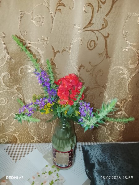picture_418569397