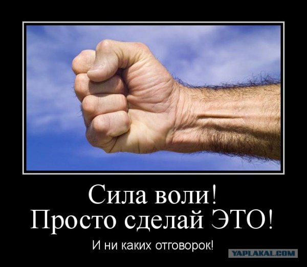 И ни каких отговорок!