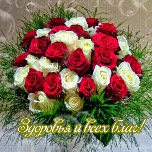 IMG 20210512 215640