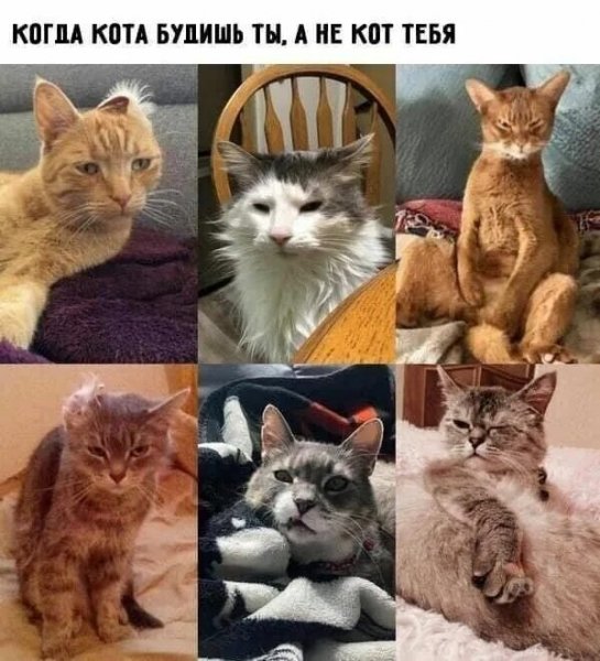 Где-то так... )))