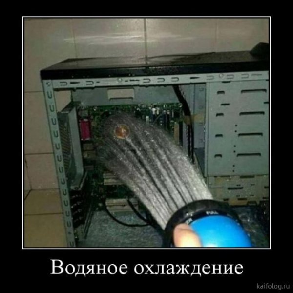 picture_379717592