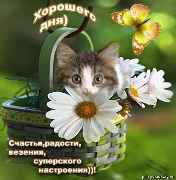 открытка хорошего дня счастья радости