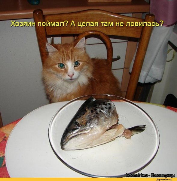 А???