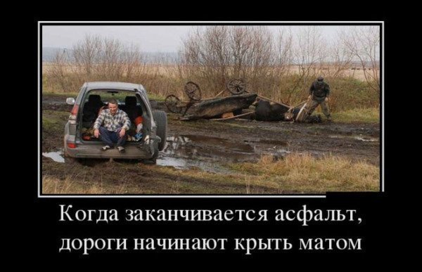 picture_376439474
