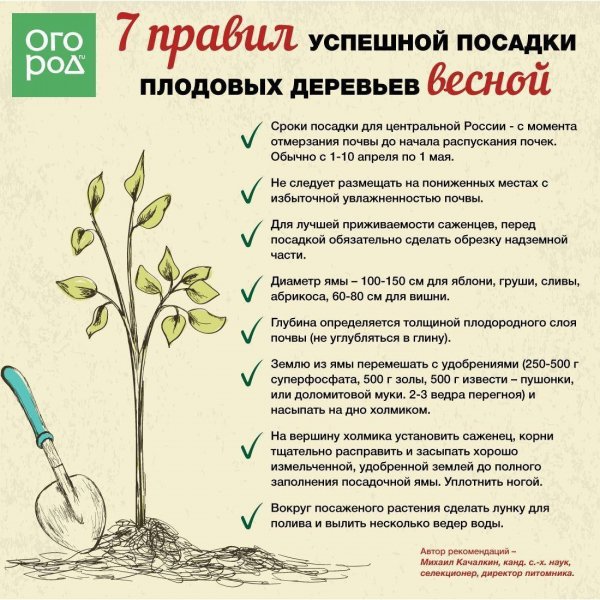 7 правил