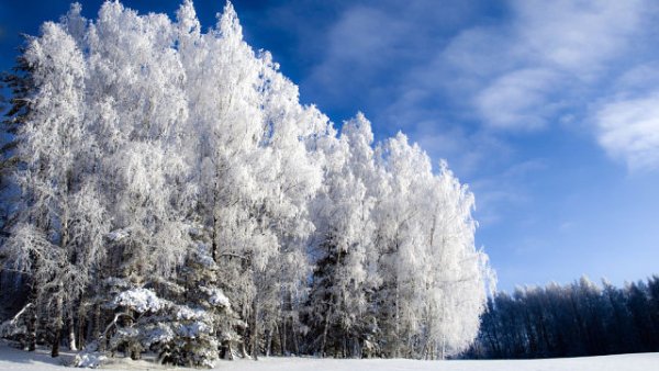 getImage(28)