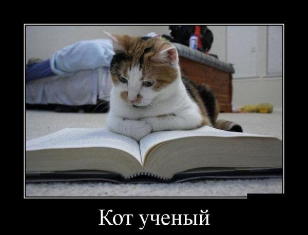 Кот ученый