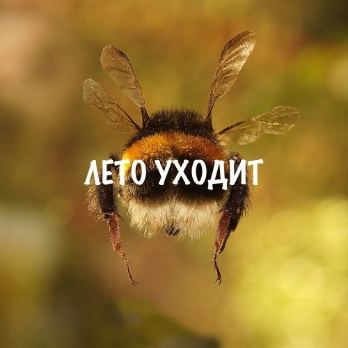IMG 20180829 221552