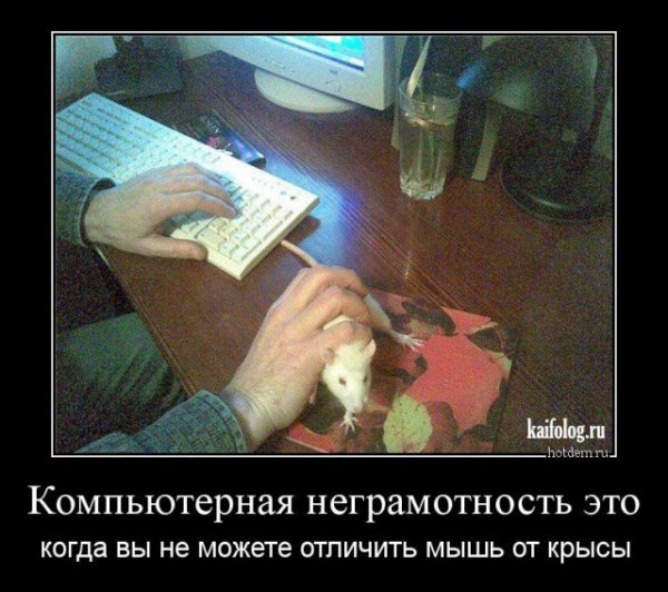 picture_399798227
