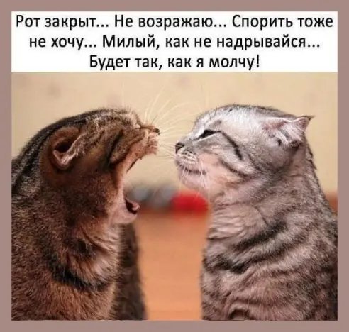 image (11)