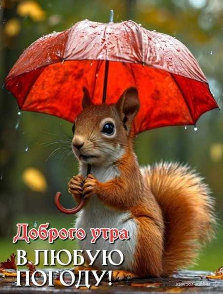IMG-20251112-WA0000