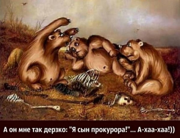 picture_411364700