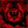 HEXEN
