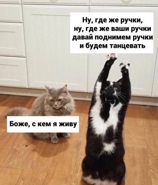 08-02-00-21-5910
