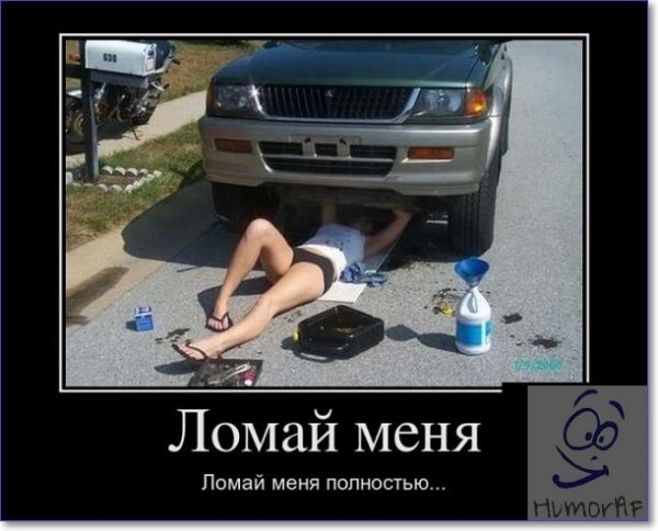 b6536f84b030b7ec63562cf9a69a893c