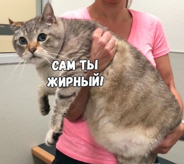 IMG 20230121 184859