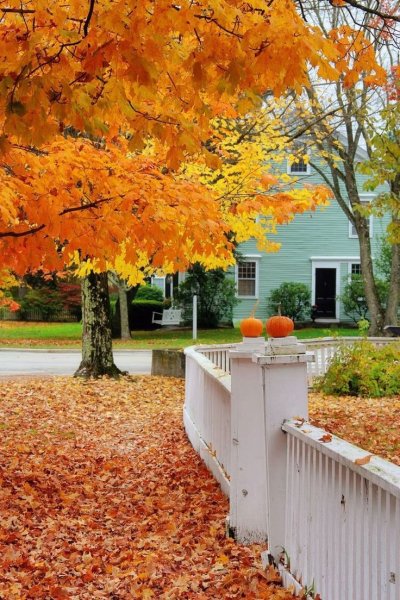 ef15f470bb71753ba976d8b41ea85957--autumn-home-autumn-fall