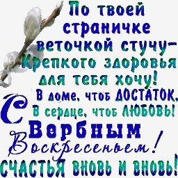 picture_119370290
