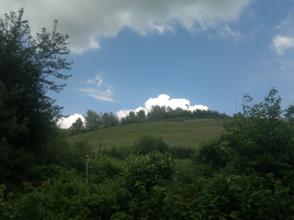 29.06.2017