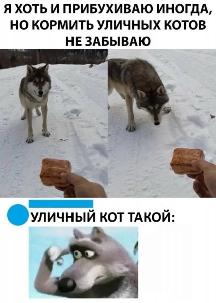 Poshlye-memy-i-chernyj-jumor-18-podborka-127-01