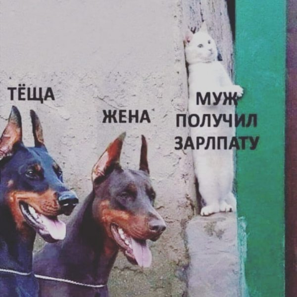 b09e0d8f66d17d75eaf733b9ea5