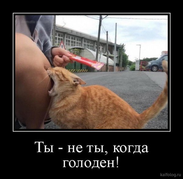 picture_379943894