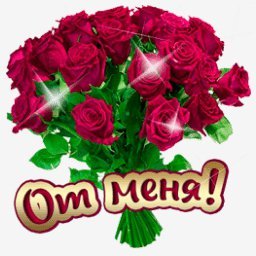 розы