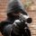 file_37016560
