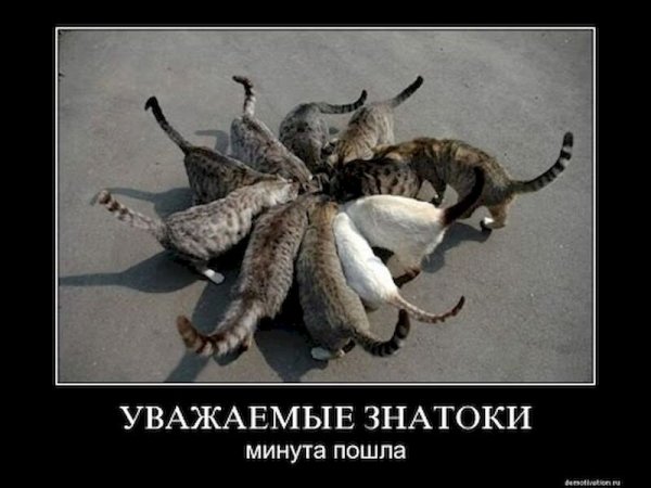pics