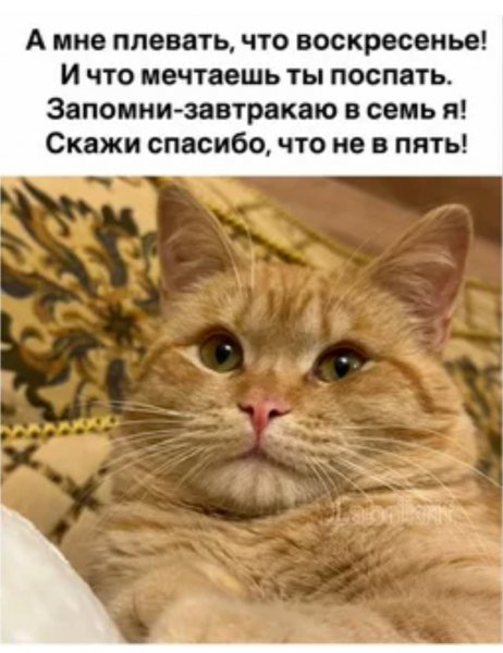 Да! ))