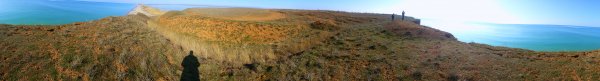picture_95642086