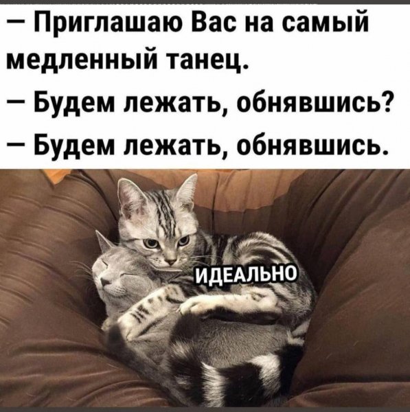 IMG 20260428 042156 930