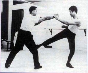 JeetKuneDo-300x249