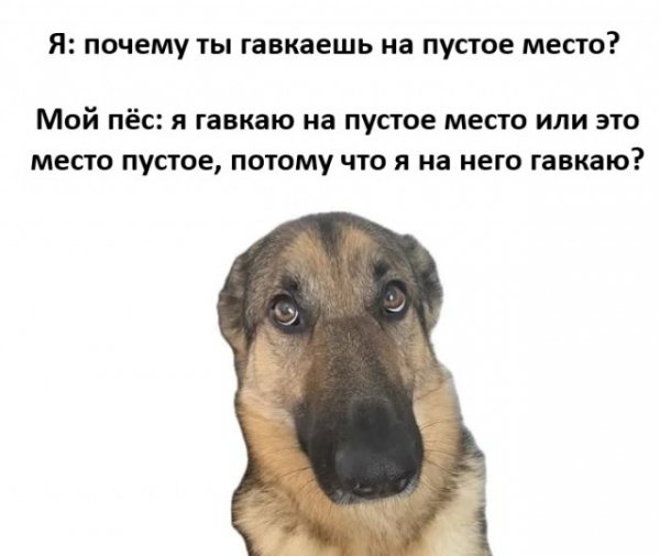 De42e2368d 20487656
