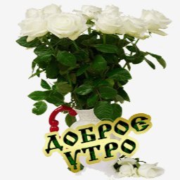 доброе утро