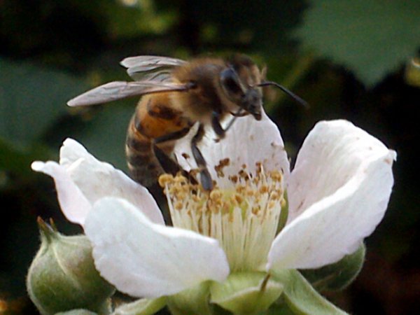IMG 20150518 173321